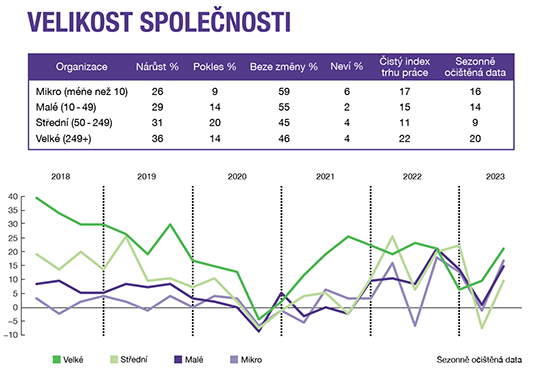 Podle velikosti společnosti